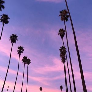 Meet your Posher, Noelani